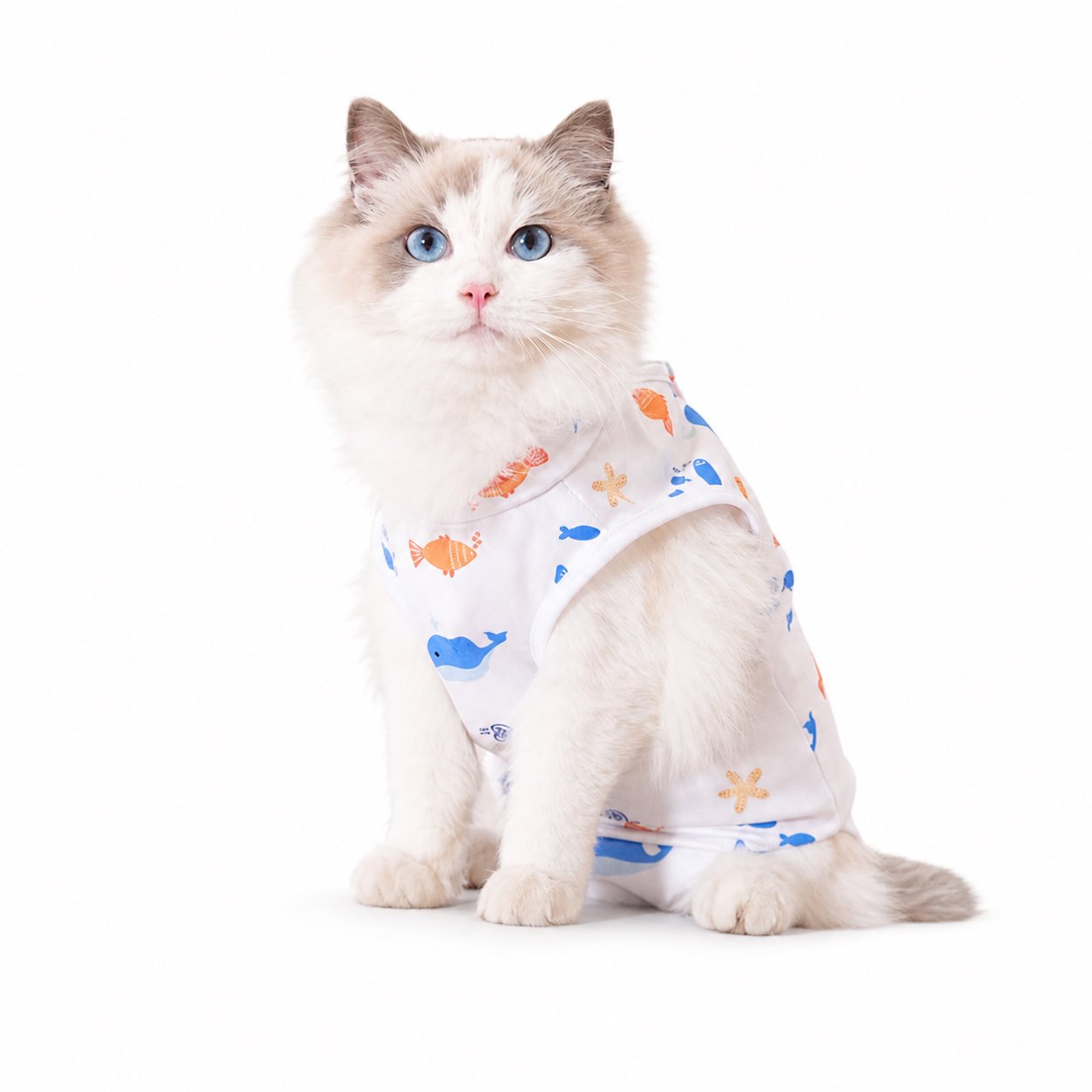 Cotton Rope Dog Chew Toy Assortment Cat Recovery Suit with Fish & Starfish Print - Image 1