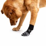 Non-Slip Dog Socks with Leopard Print Sole - Image 2