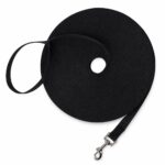 Long Nylon Training Leash with Metal Clip and Handle