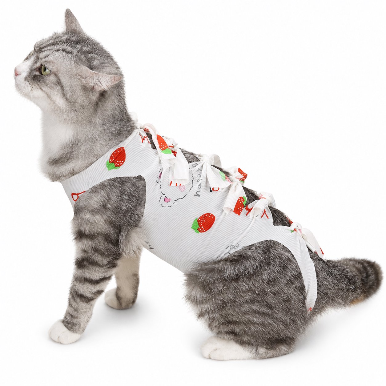 Cotton Rope Dog Chew Toy Assortment Playful Printed Cat Recovery Suit - Image 1