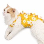 Playful Printed Cat Recovery Suit - Image 2