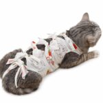 Playful Printed Cat Recovery Suit - Image 3