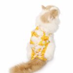 Playful Printed Cat Recovery Suit - Image 4