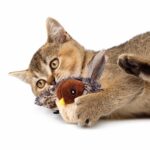 Remote-Controlled Plush Bird Cat Toy - Image 2