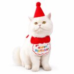 Pet Birthday Bandana And Party Hat Set - Image 3