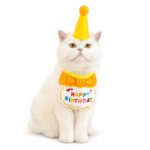 Pet Birthday Bandana And Party Hat Set - Image 4