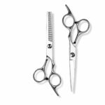Stainless Steel Cat Grooming Scissors Set with Thinning Shears