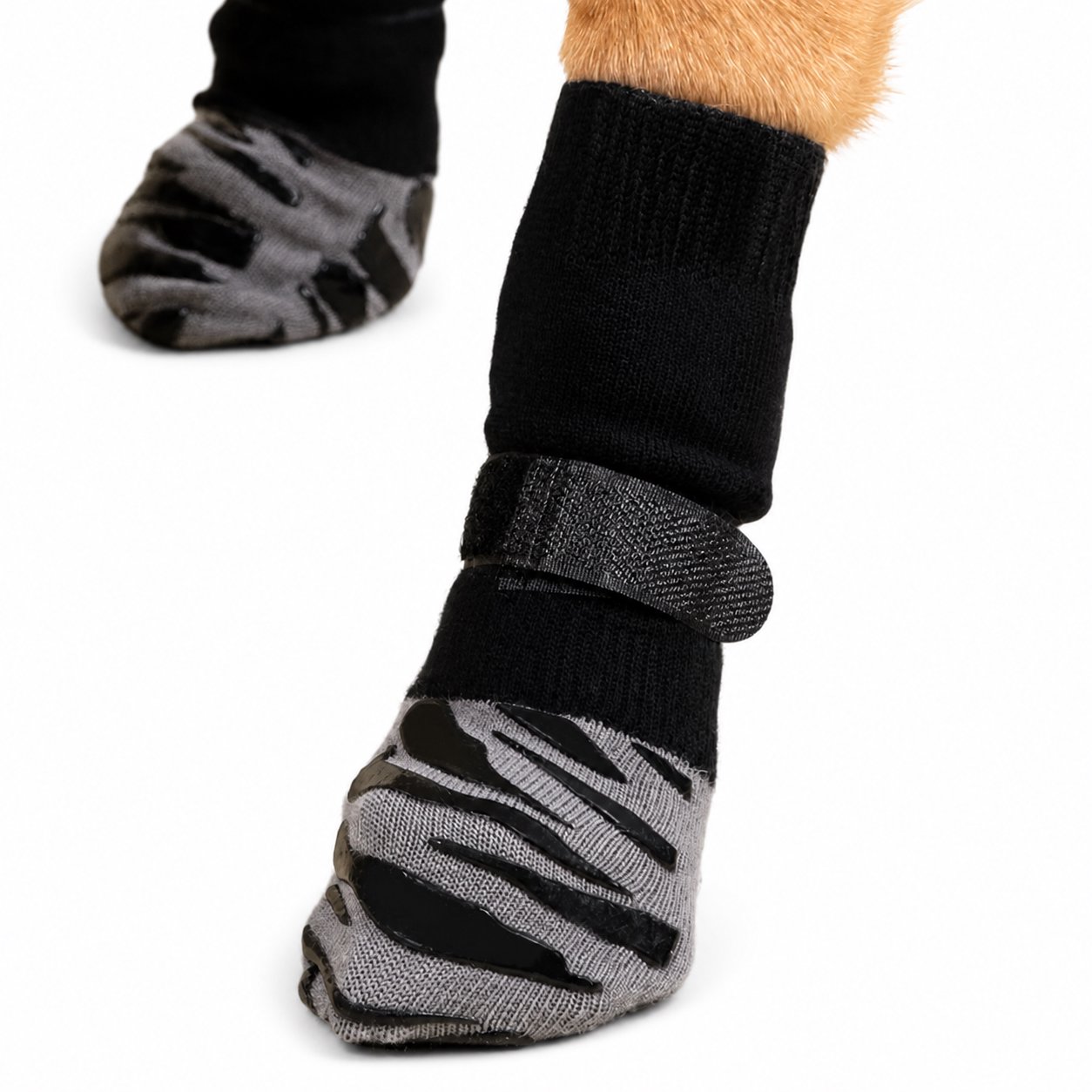 Cotton Rope Dog Chew Toy Assortment Zebra-Striped Non-Slip Dog Socks with Velcro Strap - Image 1