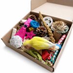 Natural Wood & Coconut Bird Foraging Toy Box - Image 2