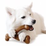 Durable Nylon Wishbone Dog Chew Toy - Image 3