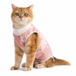 Cartoon Print Cotton Cat Recovery Suit - Image 2