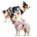 Tactical Dog Harness with Padded Handle and Breathable Mesh - Image 2