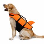 Orange Shark Fin Dog Life Jacket with Reflective Strips