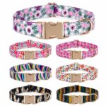Printed Fabric Dog Collar with Durable Metal Buckle
