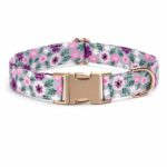 Printed Fabric Dog Collar with Durable Metal Buckle - Image 3
