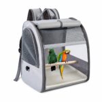 Portable Bird Backpack Carrier with Transparent Front and Perch