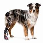 Adjustable Strap Rubber Dog Boots - Image 3