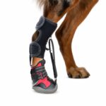 Adjustable Strap Rubber Dog Boots - Image 4