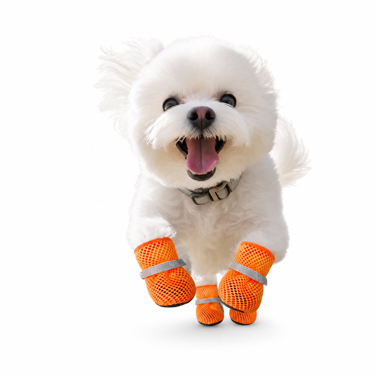 Cotton Rope Dog Chew Toy Assortment Breathable Mesh Dog Shoes with Reflective Straps - Image 1