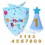 Birthday Cartoon Print Bandana and Party Hat Set