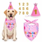 Birthday Cartoon Print Bandana and Party Hat Set - Image 2
