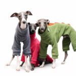 Dinosaur Spike Polar Fleece Dog Jumpsuit