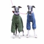 Dinosaur Spike Polar Fleece Dog Jumpsuit - Image 3