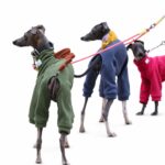 Dinosaur Spike Polar Fleece Dog Jumpsuit - Image 4