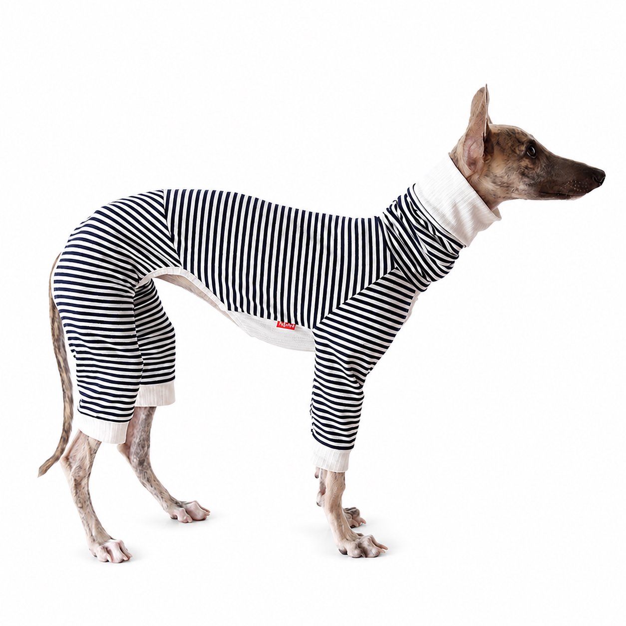 Petstyle Pinstripe Four - Legged Pajamas Italian Greyhound Whippet Pet Clothes Full-Body Striped Cotton Dog Pajamas - Image 1