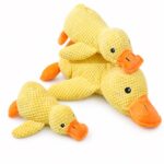 Textured Plush Duck Dog Toy with Orange Accents - Image 2