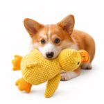 Textured Plush Duck Dog Toy with Orange Accents - Image 4