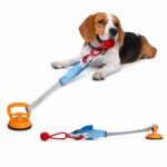 Shark Design Dog Tug-of-War Toy with Suction Cup