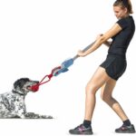 Shark Design Dog Tug-of-War Toy with Suction Cup - Image 3