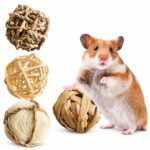 Natural Woven Chew Toy Variety Pack for Small Pets - Image 3